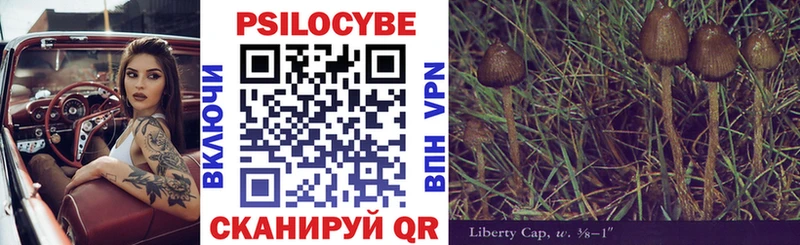 Купить закладки  Артём  Галлюциногенные грибы MAGIC MUSHROOMS 